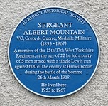 Albert Mountain