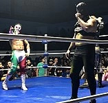 Bandido (wrestler)
