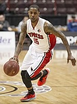 Brandon Robinson (basketball)