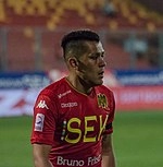 Carlos Muñoz (Chilean footballer)