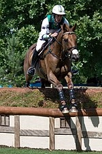 Chris Burton (equestrian)