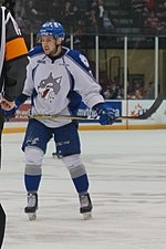 David Levin (ice hockey)