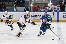Denis Sokolov (ice hockey)