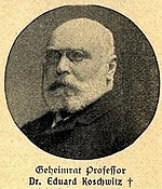 Eduard Koschwitz