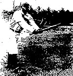Frank Duncan (baseball, born 1888)