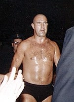 Hans Schmidt (wrestler)