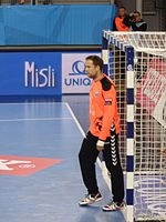 Ivan Stevanović (handballer)