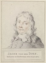 Jacob van der Does
