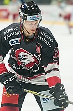 Jan Šeda (ice hockey)