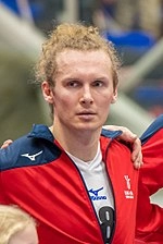 Jan Stehlík (handballer)
