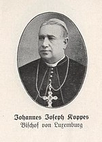 Johannes Joseph Koppes
