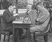 Johannes van den Bosch (chess player)