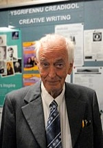 John Davies (historian)
