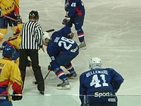 Laurent Gras (ice hockey)