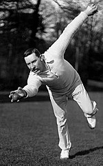 Lionel Wells (cricketer)