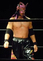 Makoto Saitō (wrestler)