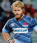 Matt Lucas (rugby union)