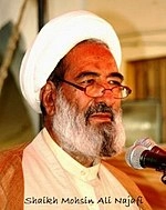 Mohsin Ali Najafi
