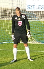 Nenad Filipović (footballer)