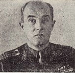 Nicolae Cambrea