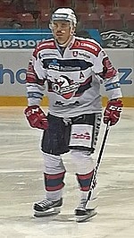 Petr Sýkora (ice hockey, born 1978)