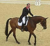 Richard Davison (equestrian)