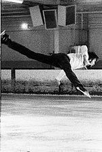 Robert Bradshaw (figure skater)