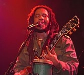 Stephen Marley (musician)