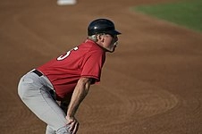 Steve Dillard (baseball)