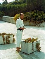 Tatsuo Suzuki (martial artist)