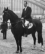 Thomas Brennan (equestrian)