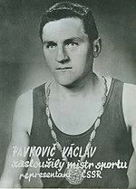 Václav Pavkovič