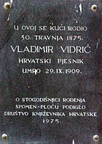 Vladimir Vidrić