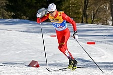 Wang Qiang (skier)
