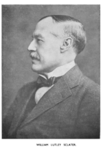 William Lutley Sclater