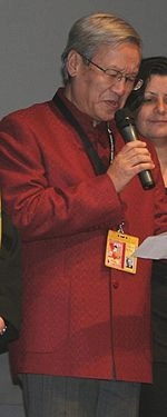 Xie Fei (director)